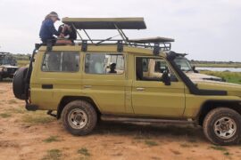 uganda safari